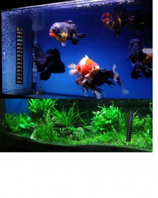 Nalepovací akvarijní teploměr na sklo GMEX GASTROMEX
