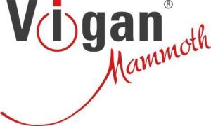 Elektrická manikúra, pedikúra - bruska na paty 4 v 1 VIGAN MP1 Mani-Pedi VIGAN Mammoth