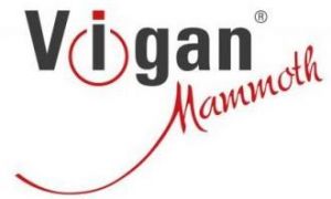 Elektrický multifunkční likvidátor plevele Vigan Mammoth ELP4V1